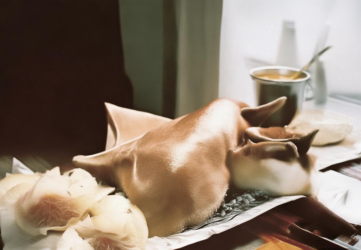 哥本哈根VS波尔多赛事分析及投注策略指南(图2)